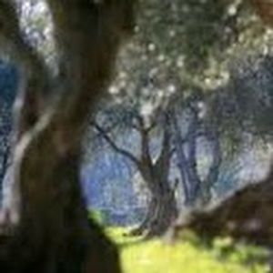 Meet your Posher, Claudette